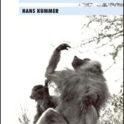 Primate Societies