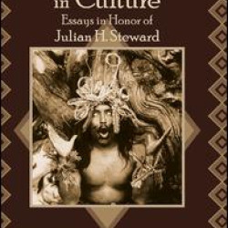 Process and Pattern in Culture