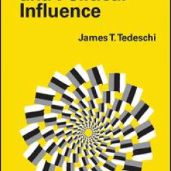 Social Power and Political Influence Social Power and Political Influence