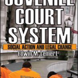 The Juvenile Court System The Juvenile Court System