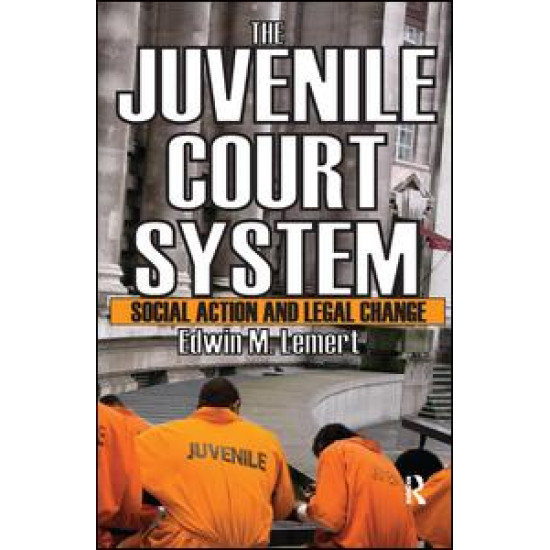 The Juvenile Court System