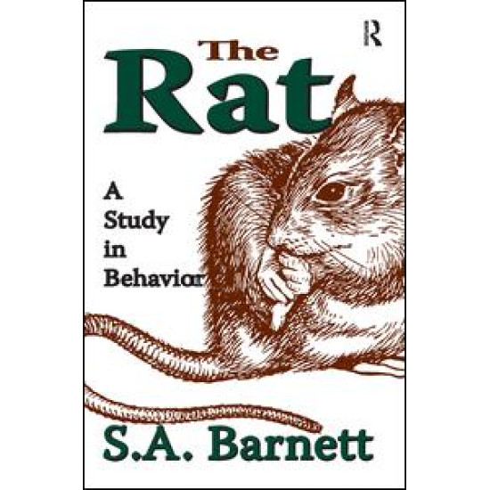 The Rat