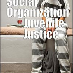 The Social Organization of Juvenile Justice