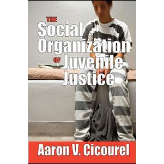 The Social Organization of Juvenile Justice