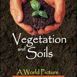 Vegetation and Soils