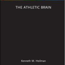 The Athletic Brain The Athletic Brain
