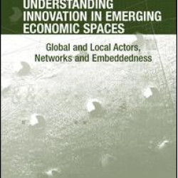 Understanding Innovation in Emerging Economic Spaces Understanding Innovation in Emerging Economic Spaces