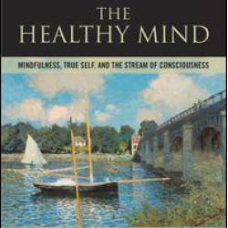 The Healthy Mind The Healthy Mind
