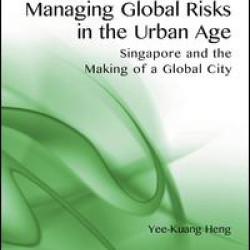 Managing Global Risks in the Urban Age