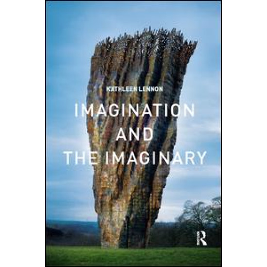 Imagination and the Imaginary