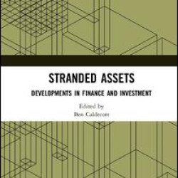 Stranded Assets Stranded Assets