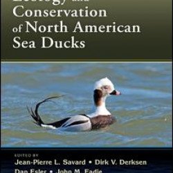 Ecology and Conservation of North American Sea Ducks Ecology and Conservation of North American Sea Ducks