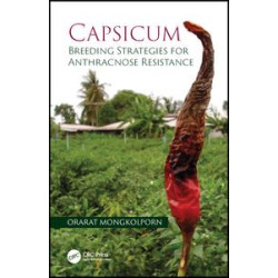 Capsicum Capsicum