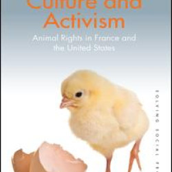 Culture and Activism Culture and Activism