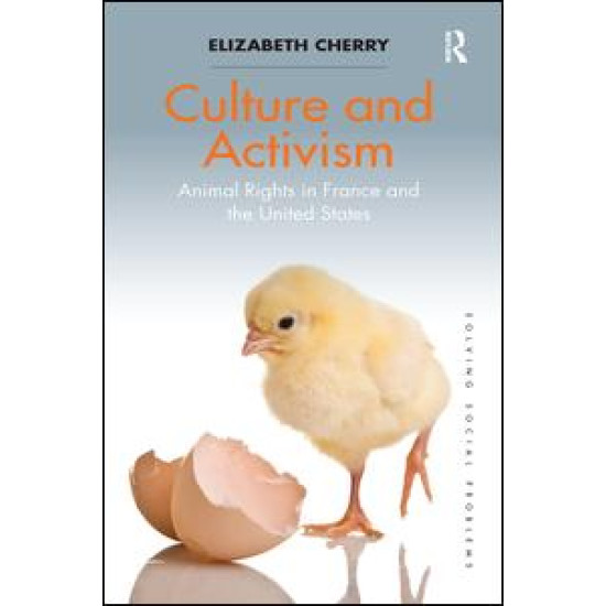 Culture and Activism Culture and Activism