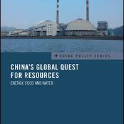 China's Global Quest for Resources