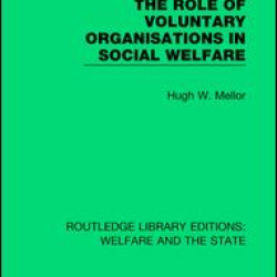 The Role of Voluntary Organisations in Social Welfare The Role of Voluntary Organisations in Social Welfare