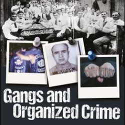 Gangs and Organized Crime