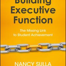 Building Executive Function