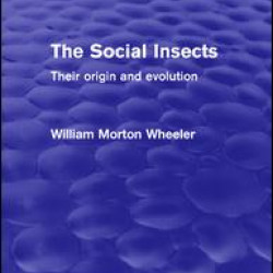The Social Insects The Social Insects