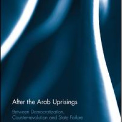 After the Arab Uprisings