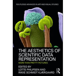 The Aesthetics of Scientific Data Representation The Aesthetics of Scientific Data Representation