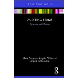 Auditing Teams