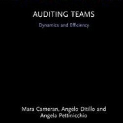 Auditing Teams