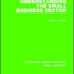 Understanding The Small Business Sector Understanding The Small Business Sector