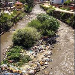 The Global Emergence of Constitutional Environmental Rights The Global Emergence of Constitutional Environmental Rights