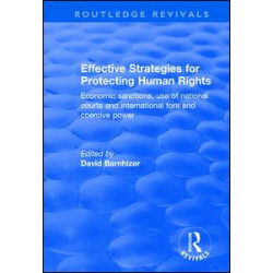 Effective Strategies for Protecting Human Rights