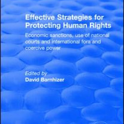 Effective Strategies for Protecting Human Rights