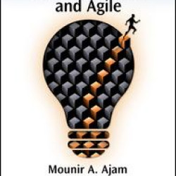 Project Management beyond Waterfall and Agile Project Management beyond Waterfall and Agile