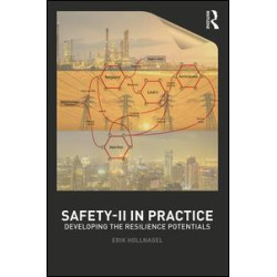 Safety-II in Practice