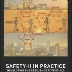 Safety-II in Practice