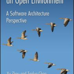 Software Adaptation in an Open Environment