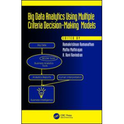 Big Data Analytics Using Multiple Criteria Decision-Making Models