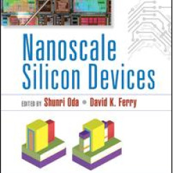 Nanoscale Silicon Devices
