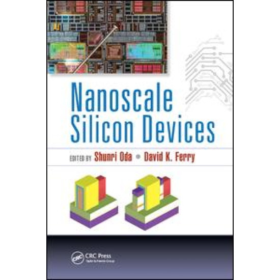 Nanoscale Silicon Devices