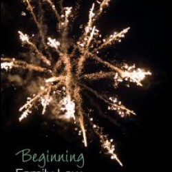 Beginning Family Law Beginning Family Law