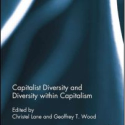Capitalist Diversity and Diversity within Capitalism Capitalist Diversity and Diversity within Capitalism