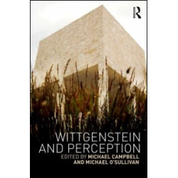 Wittgenstein and Perception