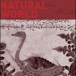 The Medieval Natural World The Medieval Natural World