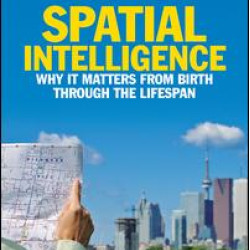 Spatial Intelligence