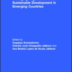 Managing Organizations for Sustainable Development in Emerging Countries