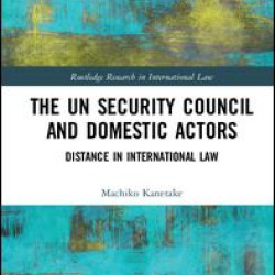 The UN Security Council and Domestic Actors