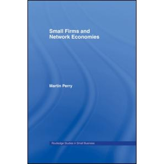 Small Firms and Network Economies