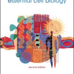 The Risks of Medical Innovation