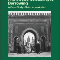 From Code Switching To Borrowing