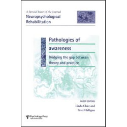 Pathologies of Awareness: Bridging the Gap between Theory and Practice Pathologies of Awareness: Bridging the Gap between Theory and Practice